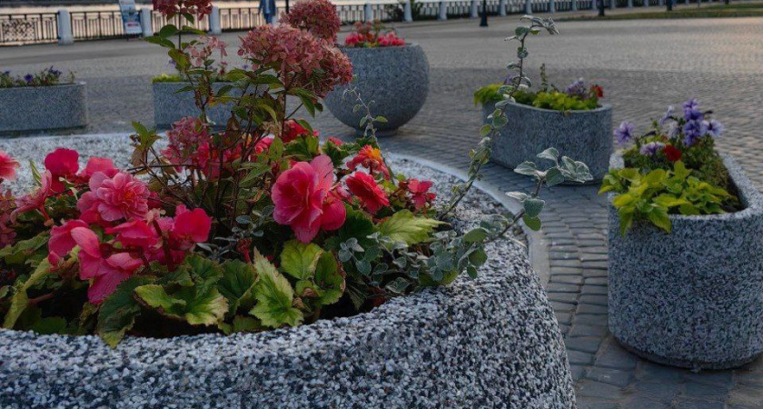 Известно, какой городской объект в Костроме лидирует в голосовании по благоустройству