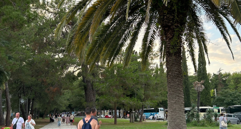 «В этот ад больше ни ногой»: российские туристы поделились честным отзывом об отдыхе в расхваленном Сочи