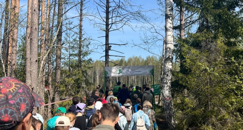 9 тысяч елей за день: костромские студенты посадили "Сад памяти"