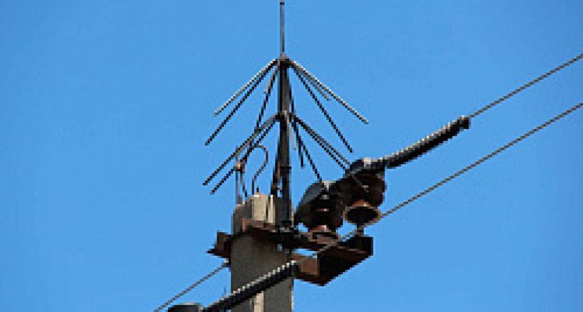 В Костромской области на опорах ЛЭП установят защиту от птиц