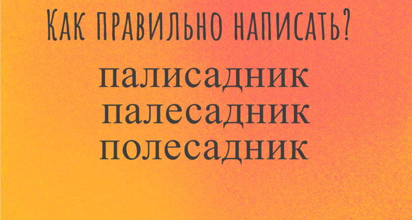 Слово простейшее, а позорятся с ним 97% людей — только самые умные смогут выбрать верный вариант