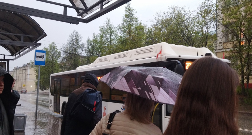 Неделя перемен: костромичей ждут дожди и потепление