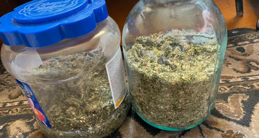 В Костромской области у жителя обнаружили более 600 граммов марихуаны и незаконные боеприпасы