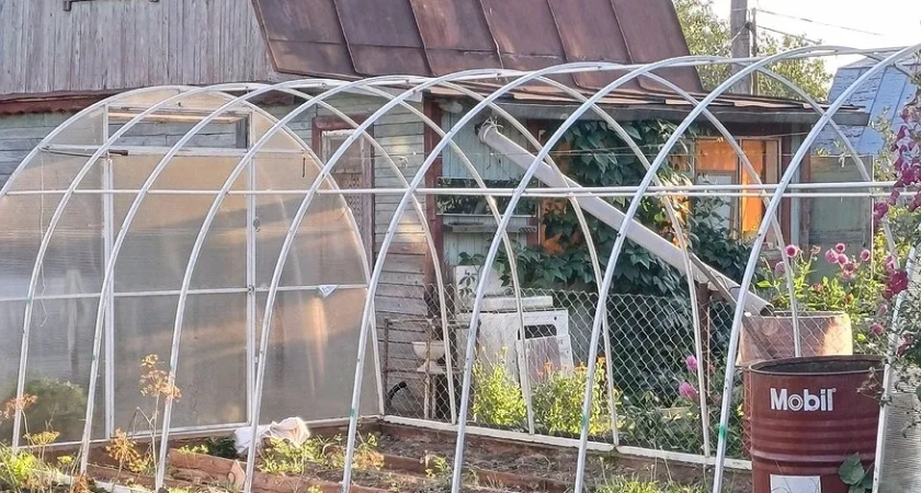 С 9 июня на теплицы вводится запрет: приняли решение для всех россиян, у кого есть дача или участок - новые штрафы