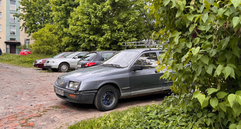 Штраф 2000 рублей за автомобиль именно такого цвета: в ГИБДД начались массовые проверки всех водителей