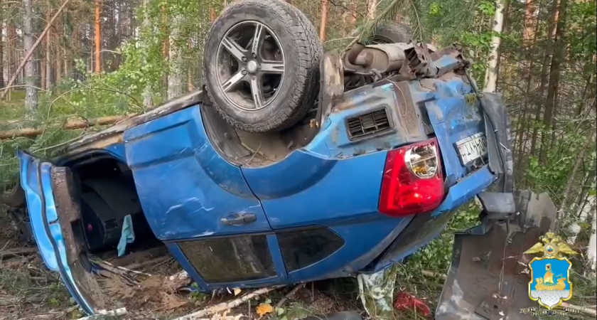 В Нейском районе двое человек погибли в ДТП с лосем