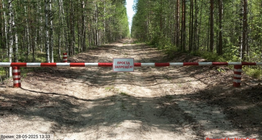 В Костромской области произошел второй лесной пожар в сезоне