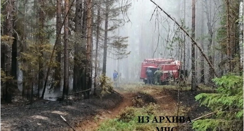 В Костромской области огнеборцы тушили лесной пожар почти семь часов