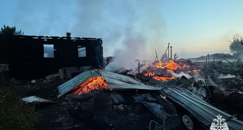 В МЧС раскрыли подробности смертельного пожара в Лебедях