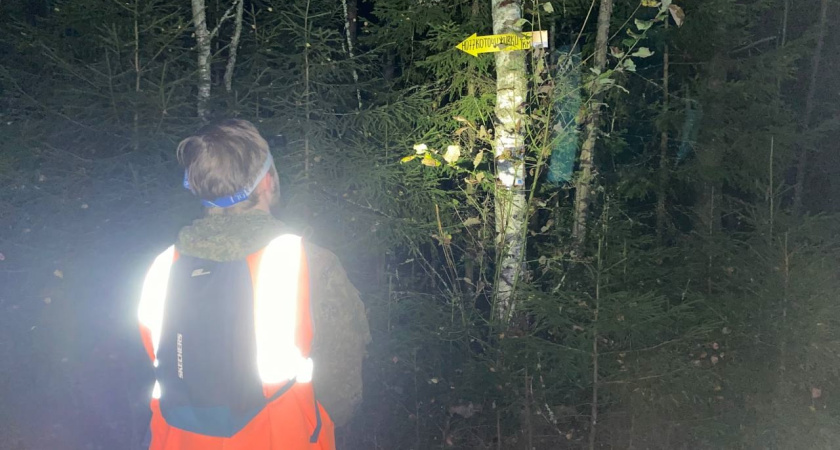 В Галичском районе начались поиски пропавшего пенсионера