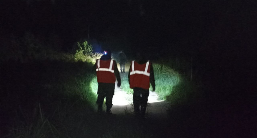 В Костромской области продолжаются поиски пенсионера, пропавшего три года назад