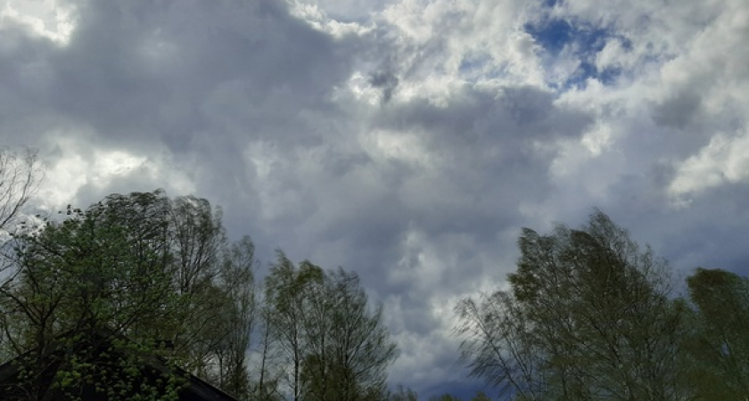 Костромскую область накроют грозы и ураганный ветер: объявлено предупреждение