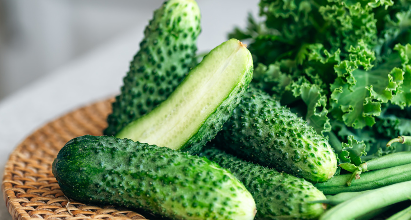 С 10 кустов собрала более 90 кг огурцов — не вымысел, а реальность: использую для подкормки одну ампулу