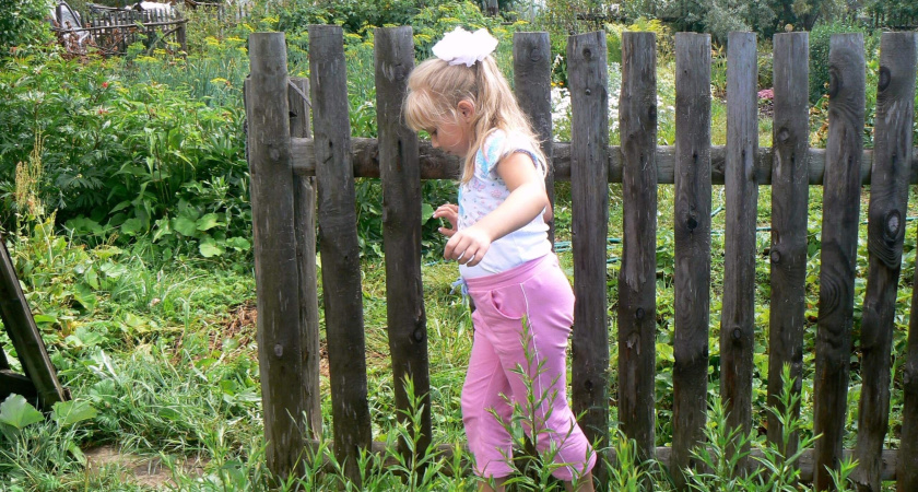 С 17 июня будет полностью запрещён отдых на природе: любителям чистого воздуха придётся поискать другие места