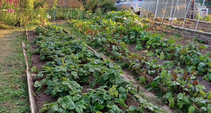 С 17 июня полностью будут запрещены скважины на участке: их заставят убрать