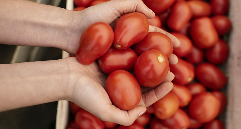 Жалею, что раньше на сажала эти «неубиваемые» сорта томатов: топ-5 фаворитов, которые прут как на танке