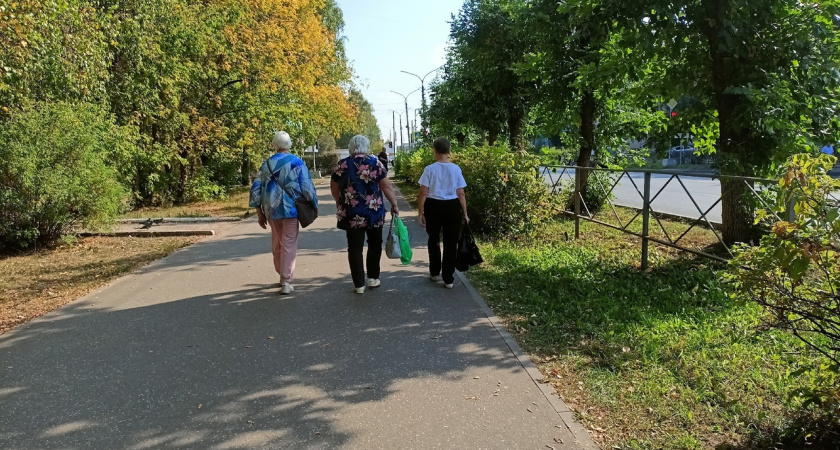 Важное предупреждение от Соцфонда России: как не потерять пенсию