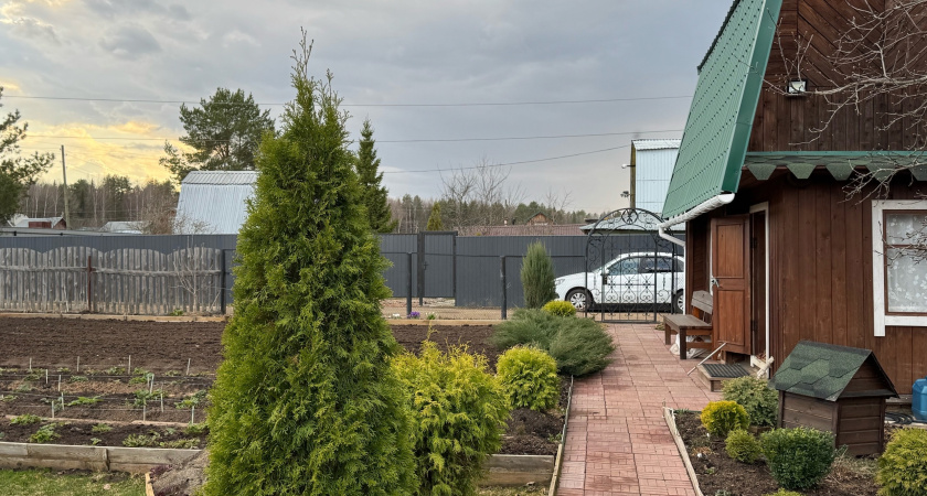 Дачников предупредили о крупных штрафах за мытье машин на даче: чистое авто влетит в копеечку