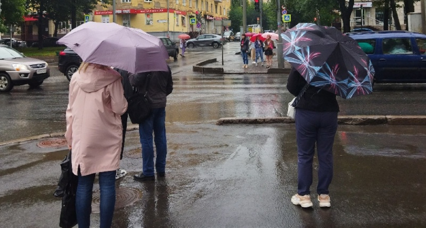 Костромичей предупреждают о похолодании до плюс 14 градусов