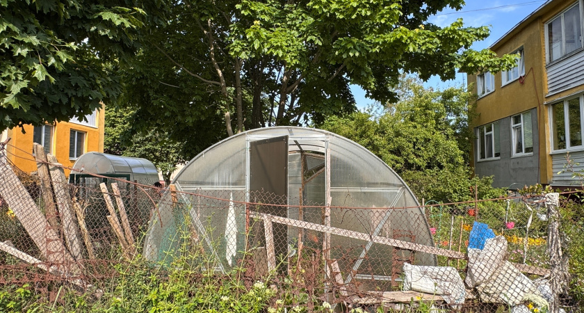 С 1 июля на теплицы вводится запрет: приняли решение для всех россиян, у кого есть дача или участок - новые штрафы