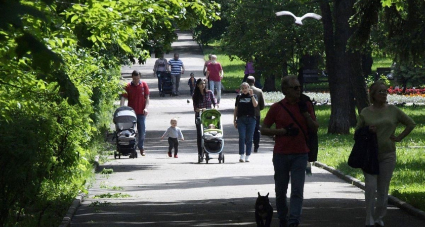 В 2025 году голосование за объекты благоустройства по программе «Единой России» стало рекордным по количеству участников