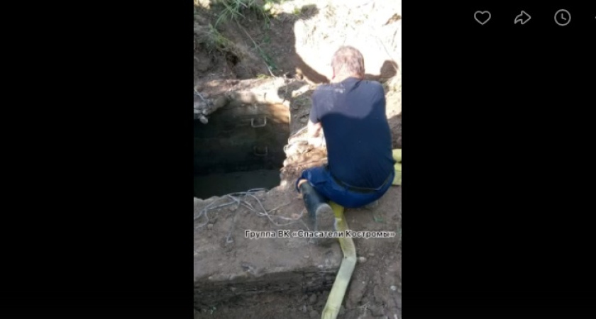 Костромские спасатели помогли обессиленному лосю, который неделю провел в колодце