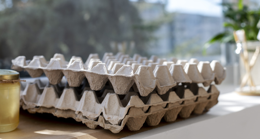 Не выбрасывайте лотки из-под яиц: они станут незаменимыми помощниками в огороде - "дедовский" лайфхак