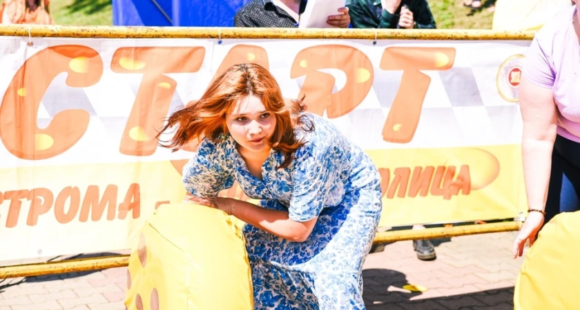 В Костроме пройдет большой фестиваль сыра (6+)