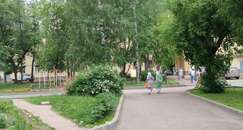 "Работа для пенсионерки": в Костроме пожелую женщину чуть не сделали "дроппером"