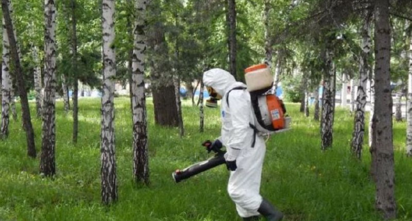 В Костроме прошла повторная акарицидная обработка в парках и скверах