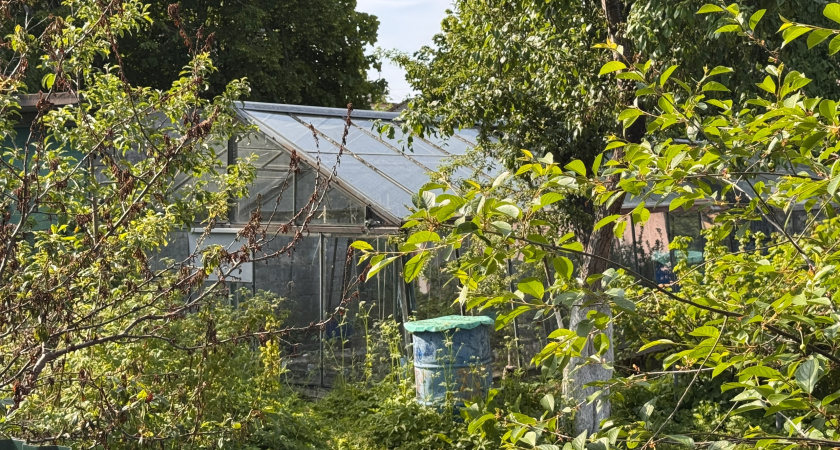 Россиянам рассказали о штрафах за установку теплиц на дачах: вот что нужно знать каждому