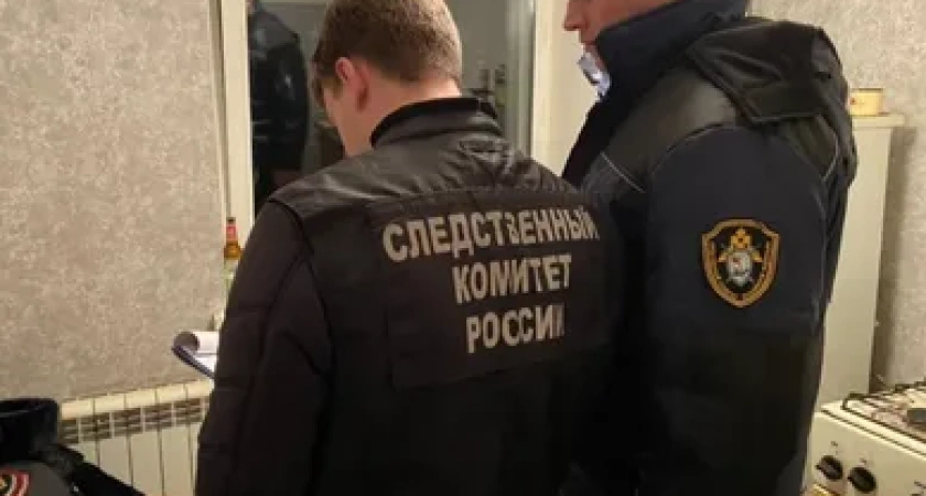 В Костромской области 45-летняя женщина едва не убила своего брата