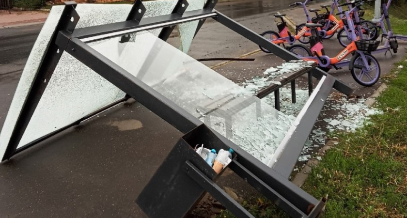 Гроза в Костроме повалила деревья, снесла остановки и оборвала линии электропередач