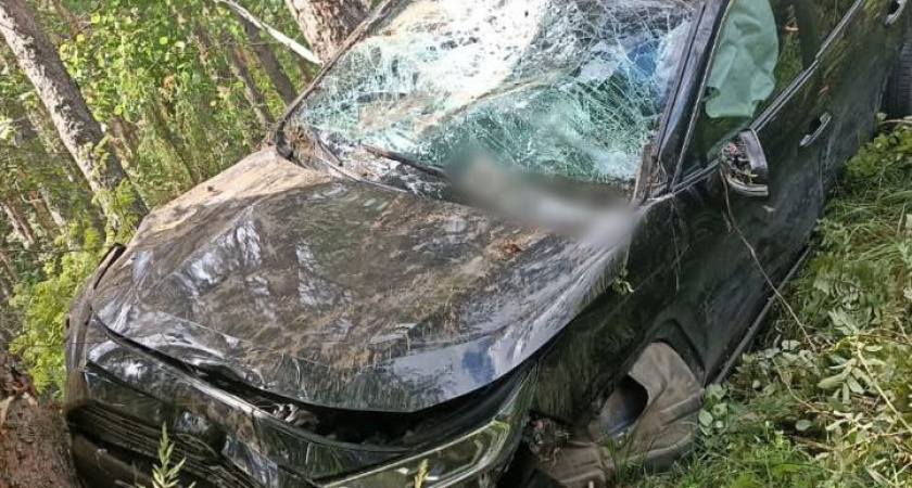 В Костроме возбудили уголовное дело из-за массового ДТП с четырьмя погибшими