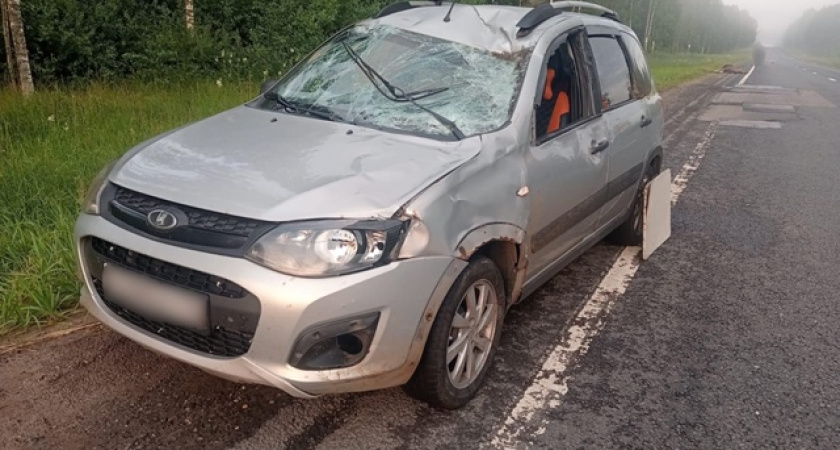 В Костромской области 36-летний водитель на «Ладе» сбил лося