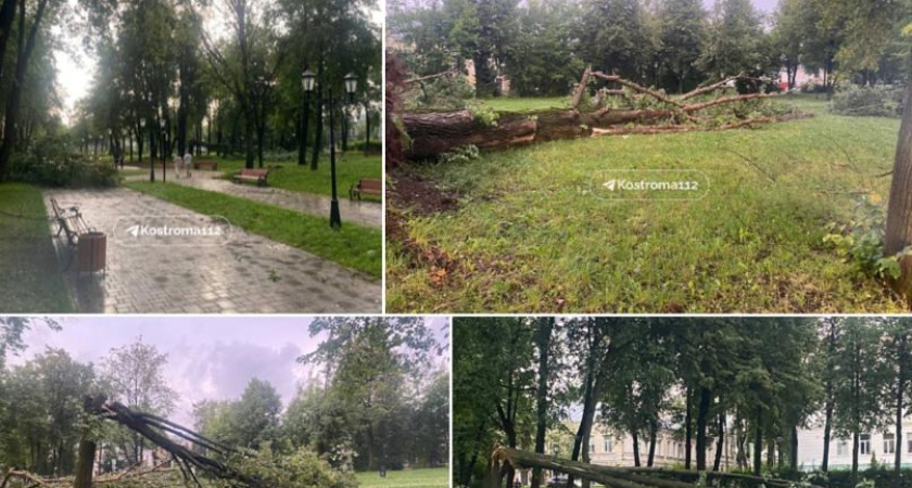 Прокуратура Костромской области проконтролирует ликвидацию последствий после непогоды