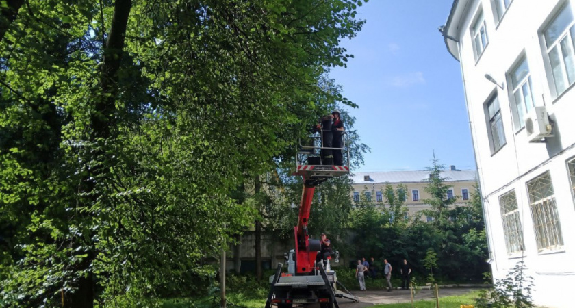 В Костроме продолжаются работы по устранению последствий непогоды