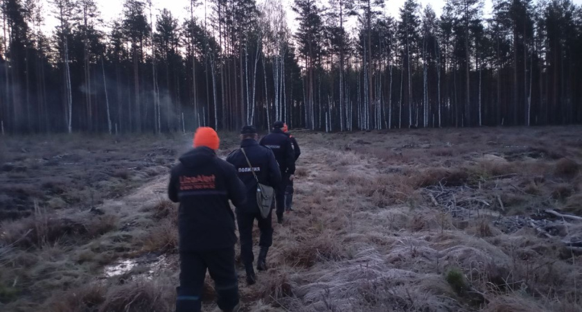 В Кадыйском районе с конца июня не могут найти 49-летнего мужчину