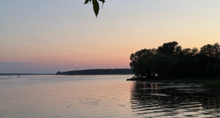 +33 градусов в тени: Костромская область переживает аномальную жару