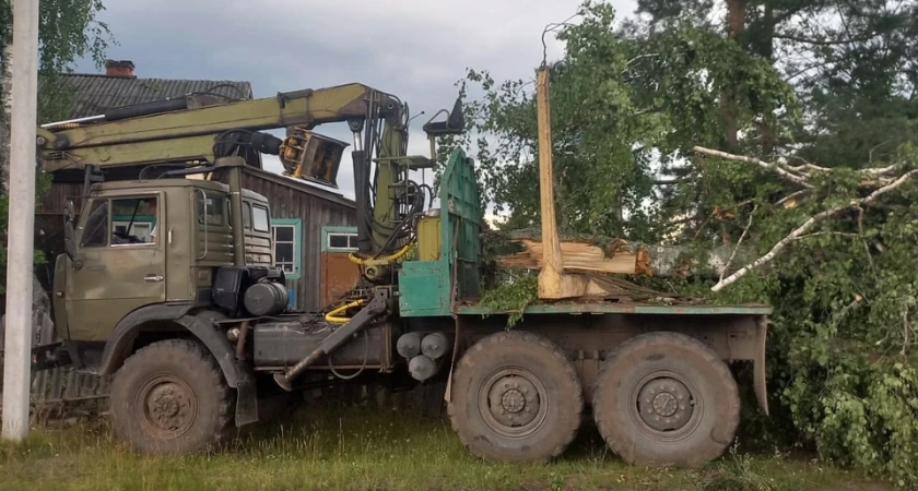 В Костромской области ураганный ветер повалил березы на жилые дома