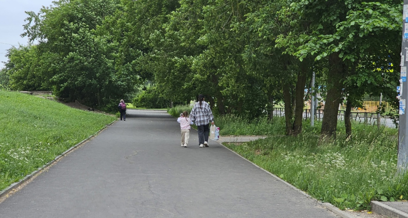 В Костроме за 18 миллионов рублей благоустроят Ботниковский сквер