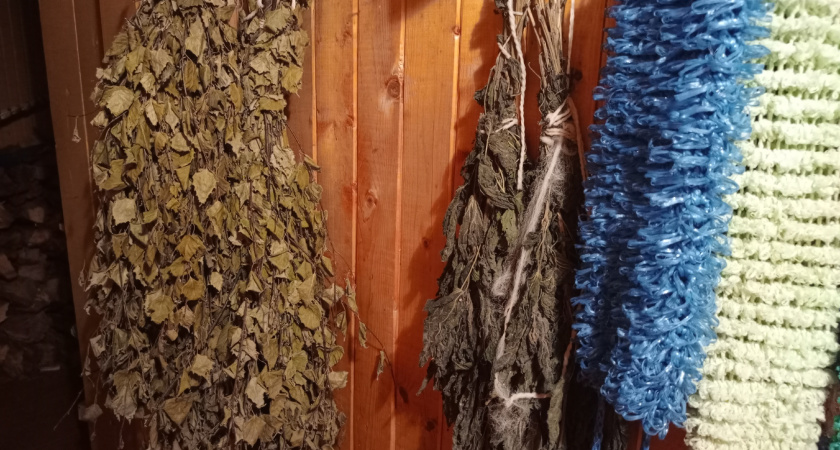 В Германии местный житель увидел россиянина — и затопил ему баню: парились по-немецки с его женой и дочкой