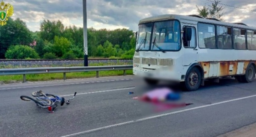 В Костромской области водитель автобуса насмерть сбил велосипедиста