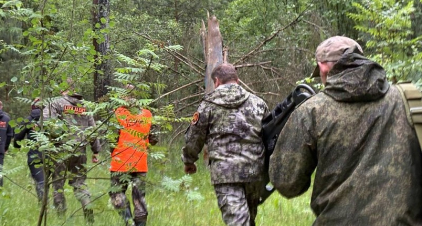 В Костромской области уже 10 дней не могут найти 75-летнего мужчину, который ушел в лес