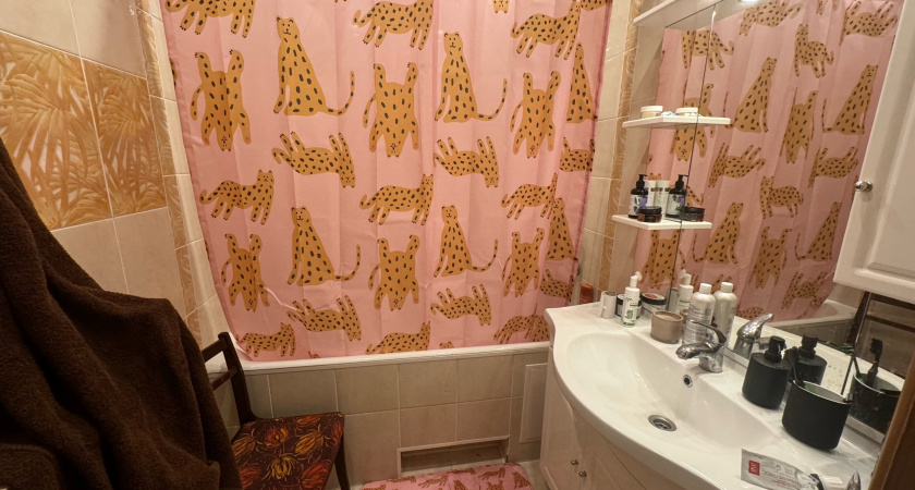 В США и Канаде давно не пользуются ванной и душем: у них есть третий вариант и он лучше во всем