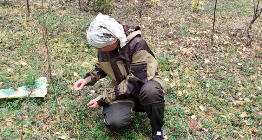 В Костромской области из леса вывели двух женщин, которые едва не зашли в болото