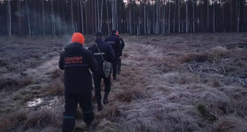 В Костроме заявили о завершении поисков мужчины, который ушел из медучреждения
