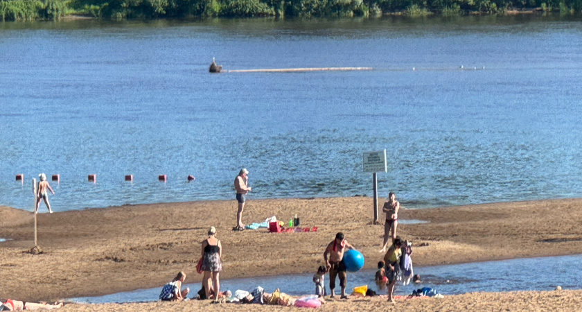 "Аномальное лето": Вильфанд ошеломил свежим прогнозом на август 2025 года