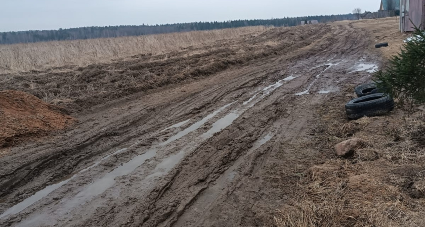 Ремонт без выезда: жители костромской деревни годами ходят по грязи