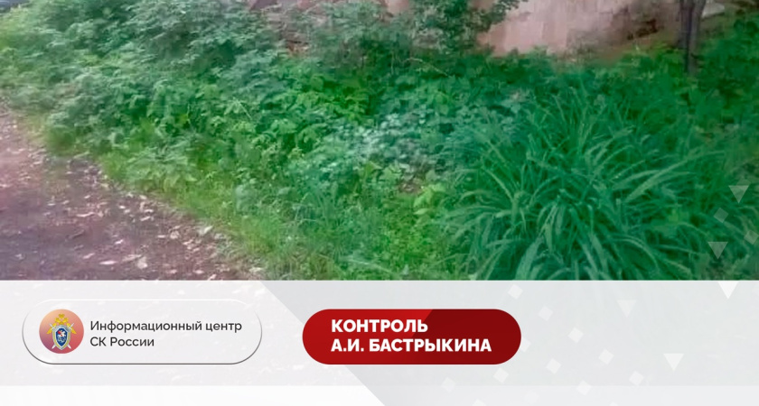 Бастрыкин взял на контроль дело о ветхом жилье в Костроме